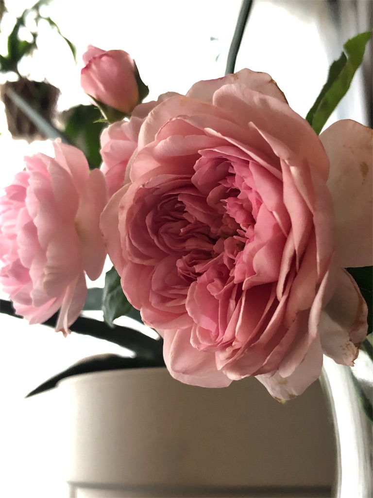 f:id:tef_rose:20190910152627j:image