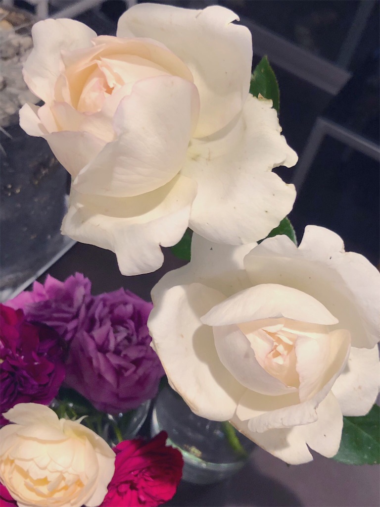 f:id:tef_rose:20190912021422j:image