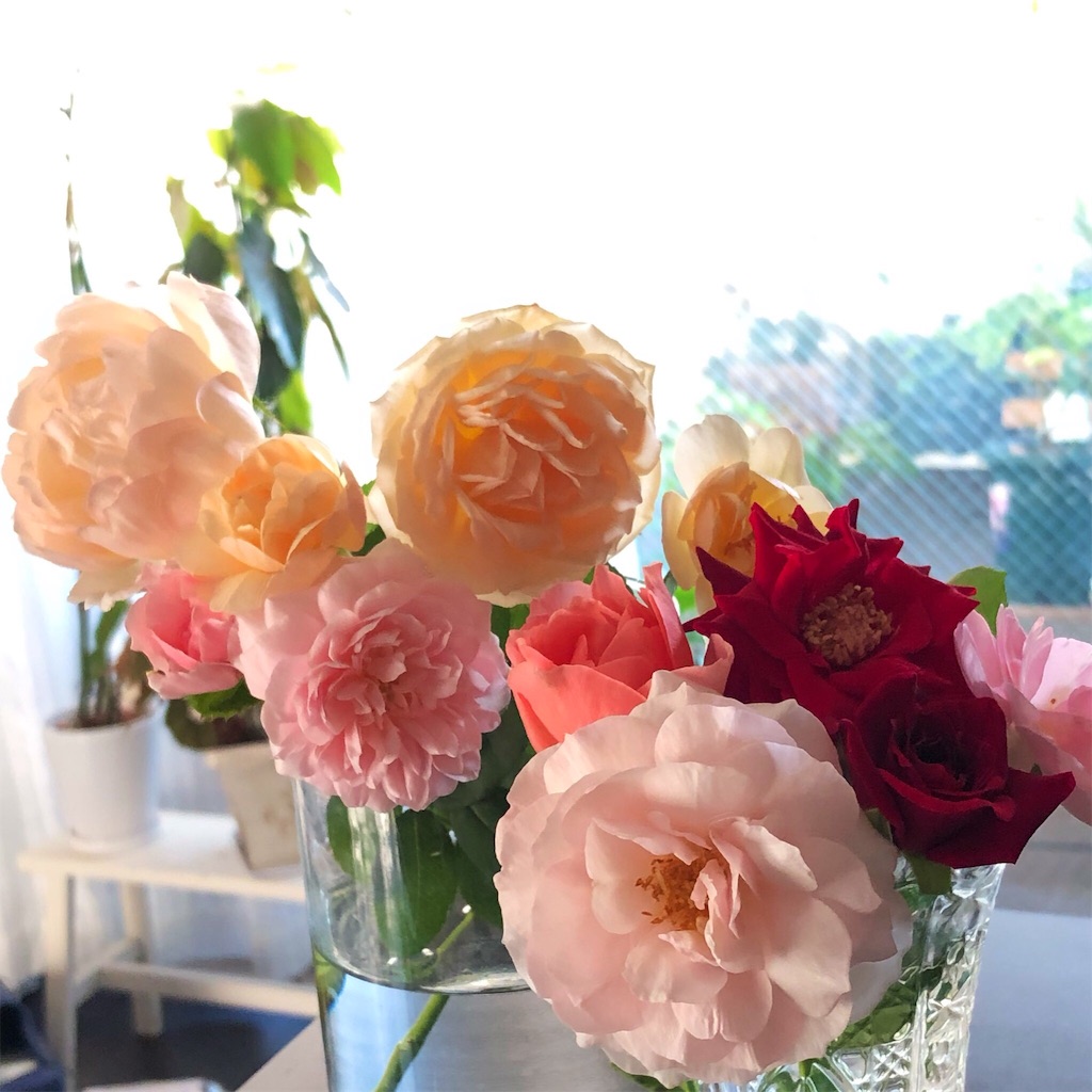 f:id:tef_rose:20190914021543j:image