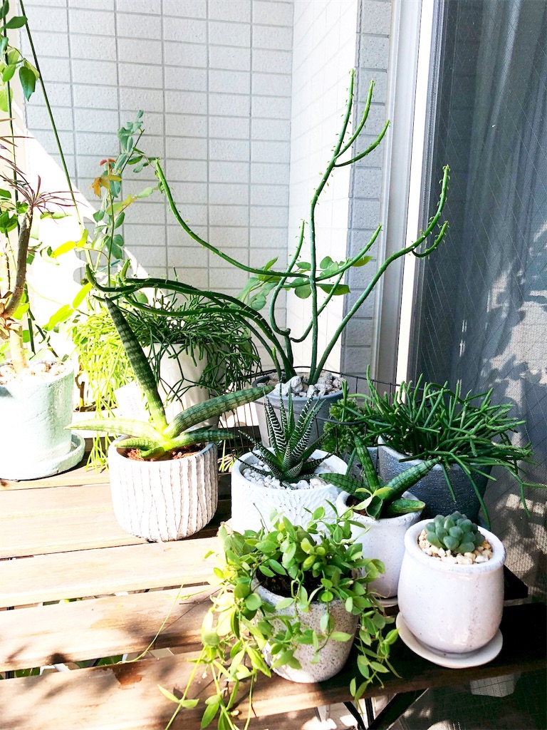 f:id:tef_rose:20190916041605j:image