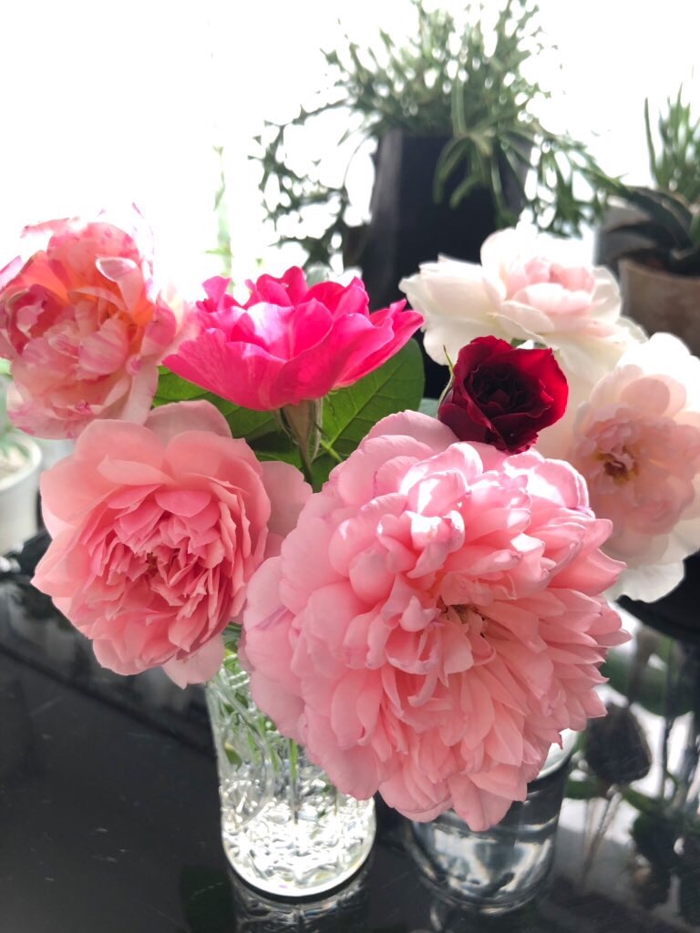 f:id:tef_rose:20190919032403j:image f:id:tef_rose:20190919032403j:image