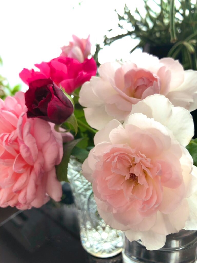 f:id:tef_rose:20190919032414j:image f:id:tef_rose:20190919032414j:image