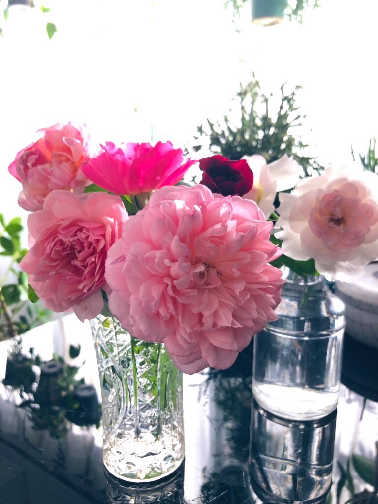 f:id:tef_rose:20190919032449j:image f:id:tef_rose:20190919032449j:image