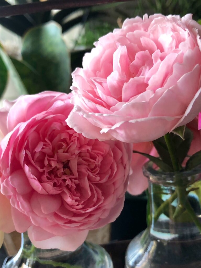 f:id:tef_rose:20190928181022j:image