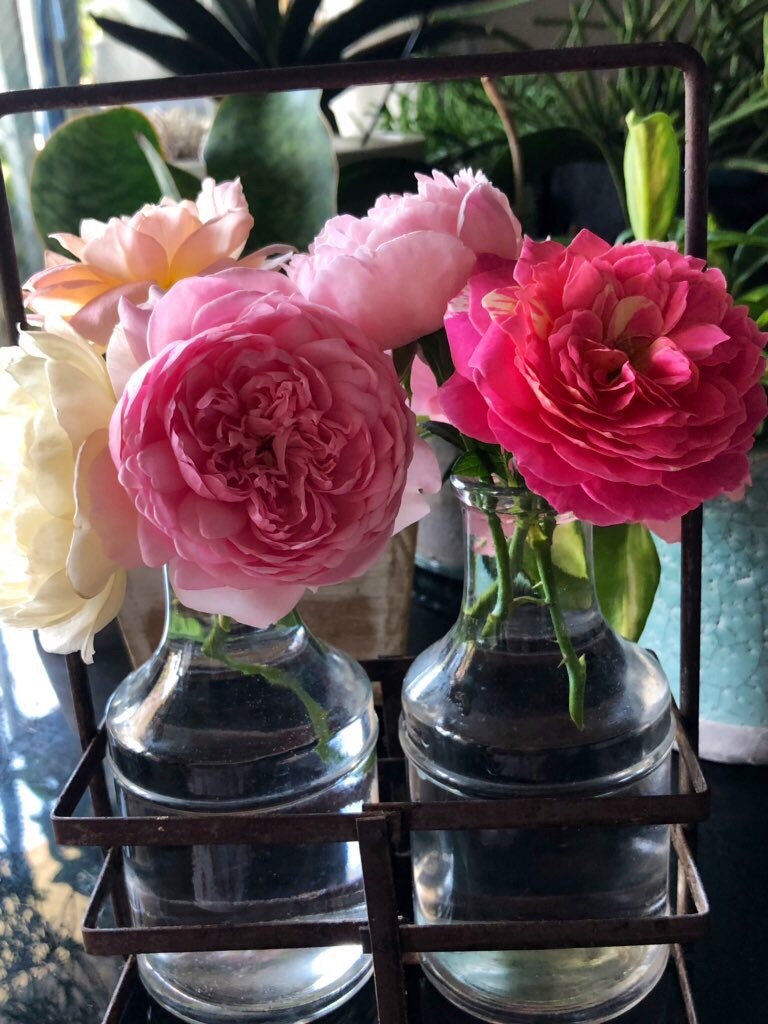 f:id:tef_rose:20190928181114j:image