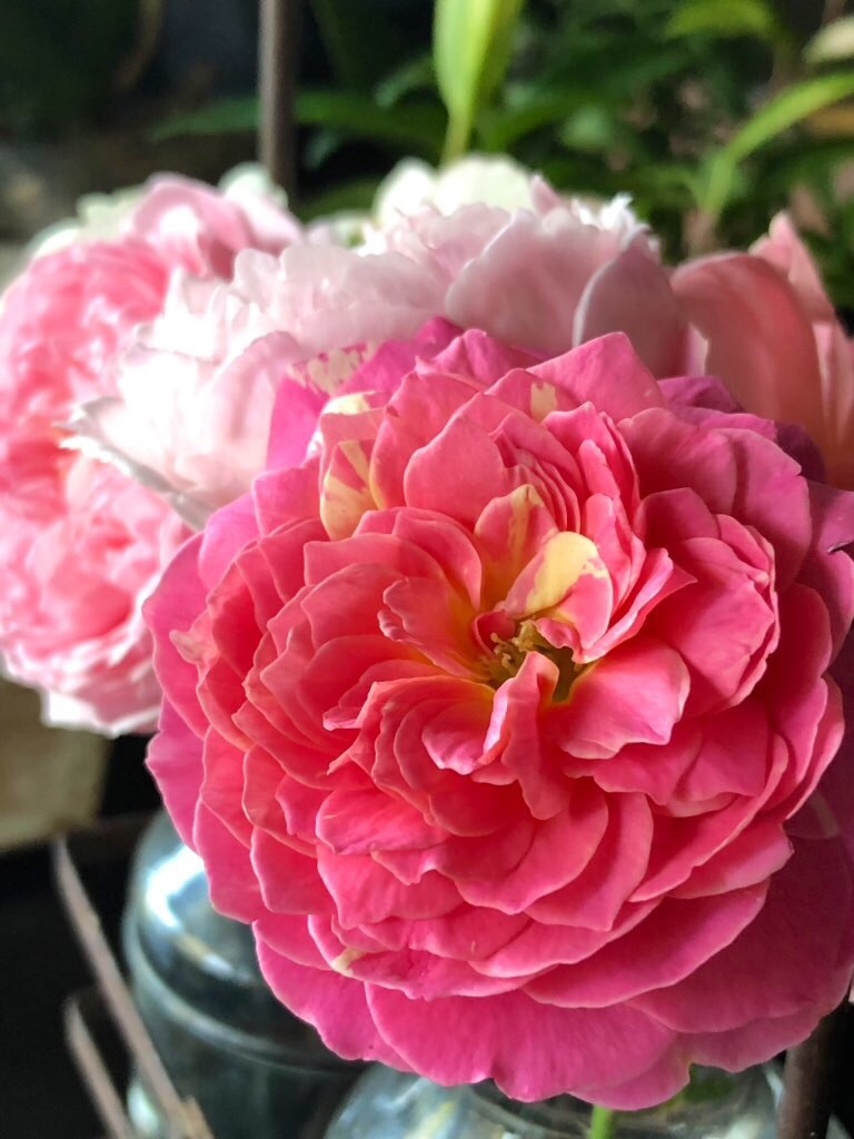 f:id:tef_rose:20190928181117j:image