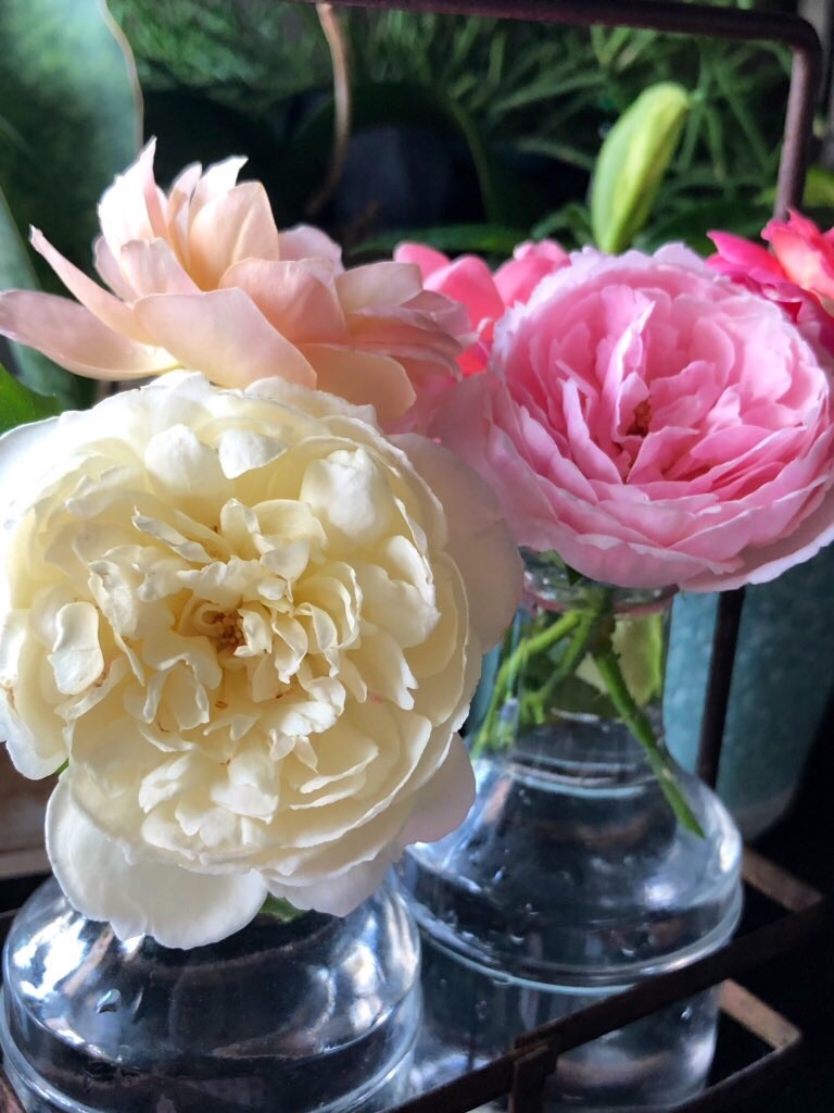 f:id:tef_rose:20190928181121j:image