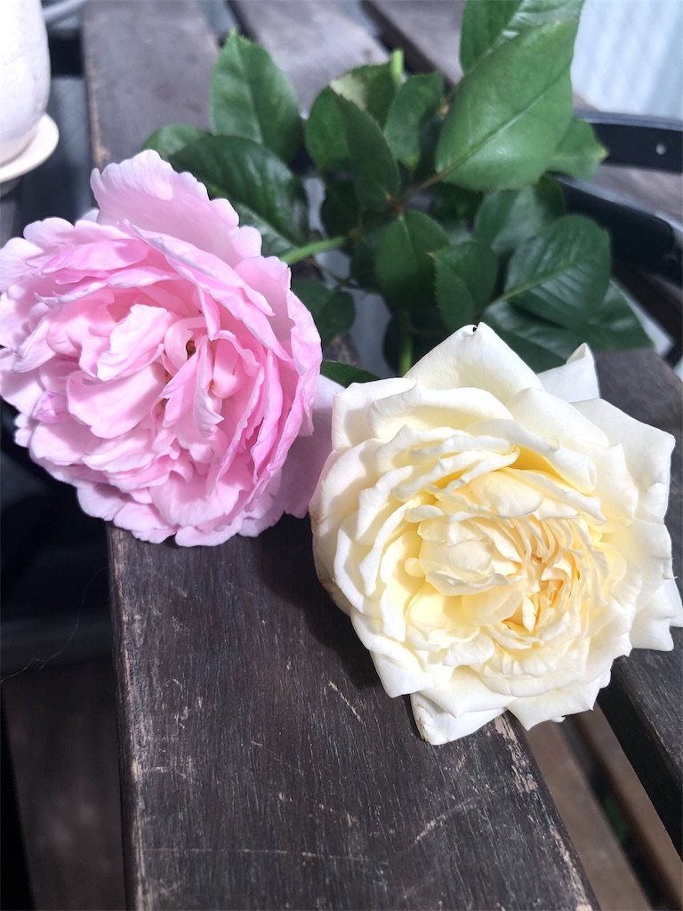 f:id:tef_rose:20191003213907j:image