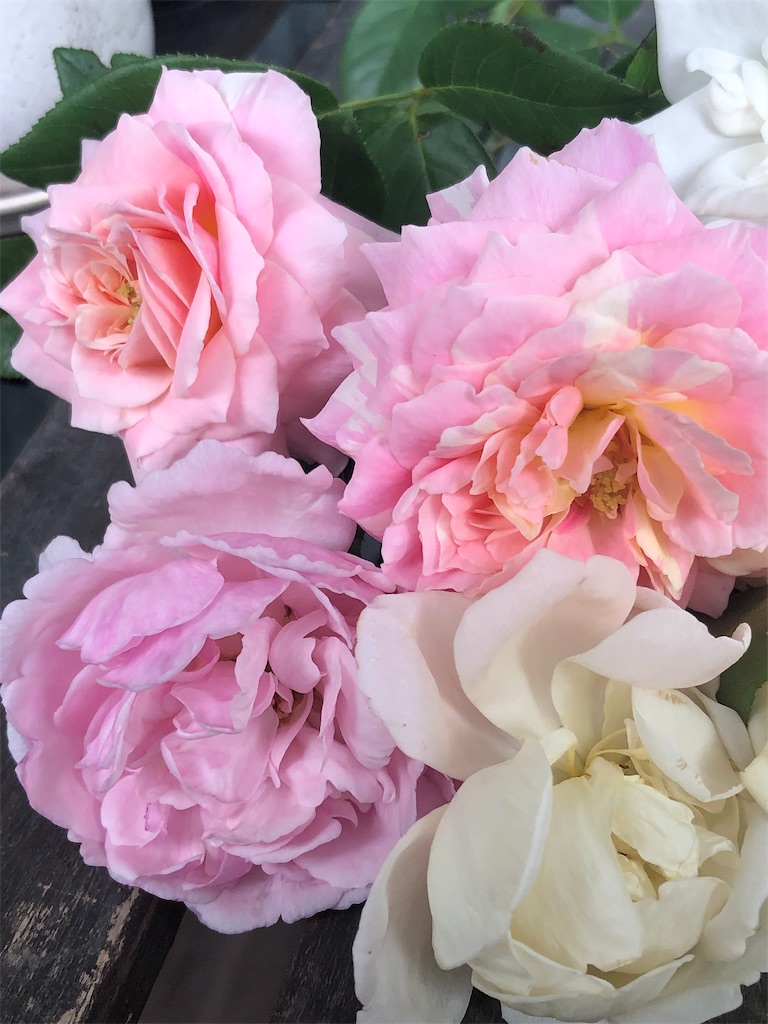 f:id:tef_rose:20191003215303j:image