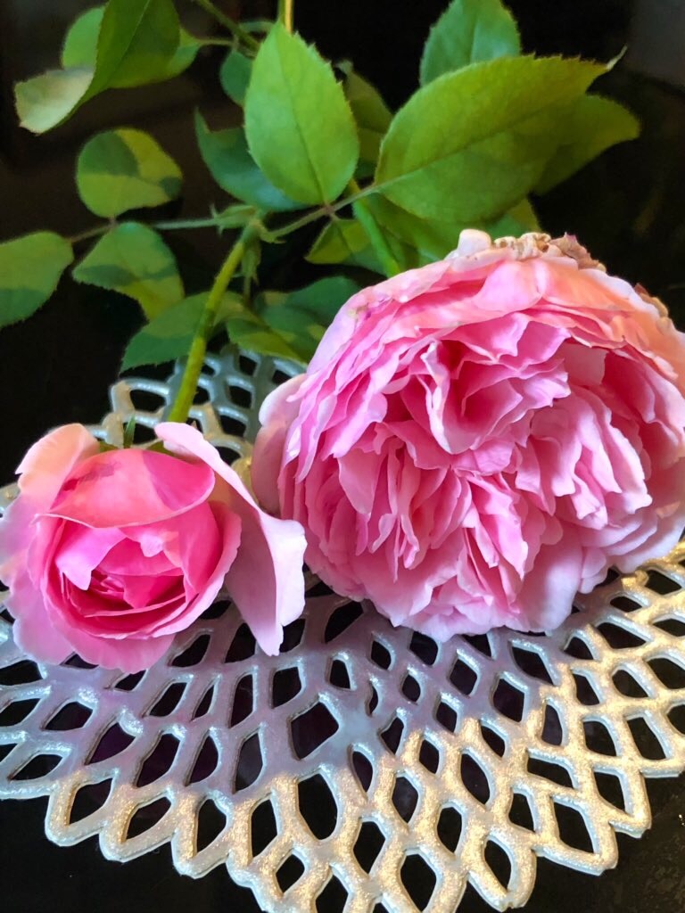f:id:tef_rose:20191006233341j:image