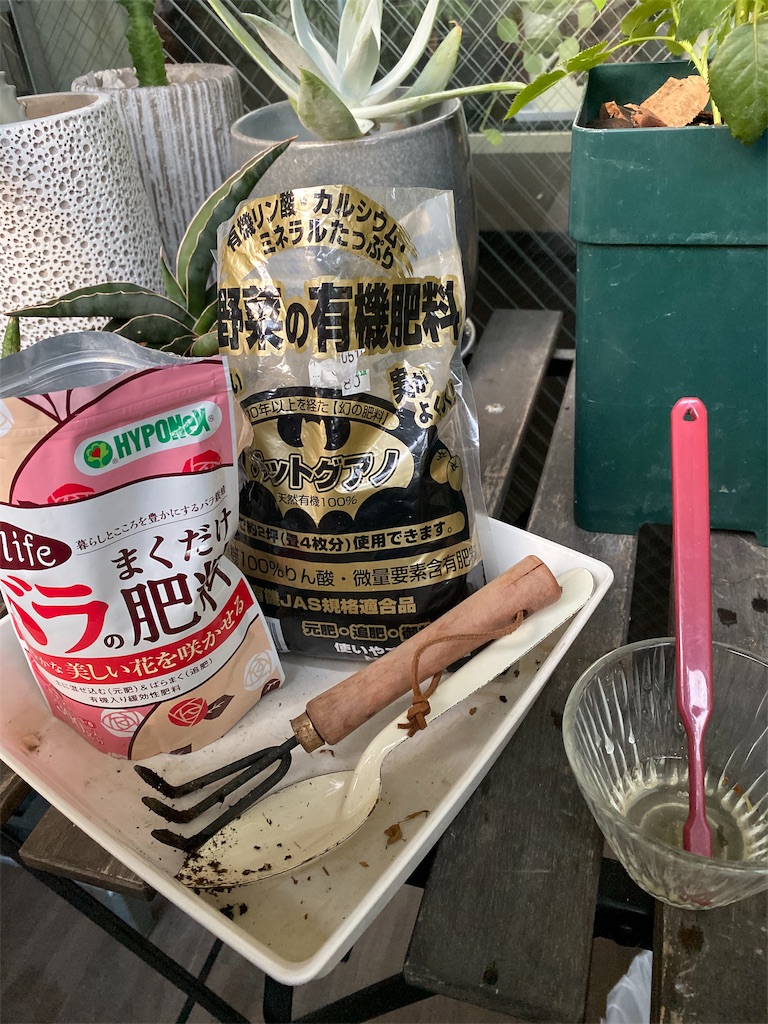 f:id:tef_rose:20191011023616j:image