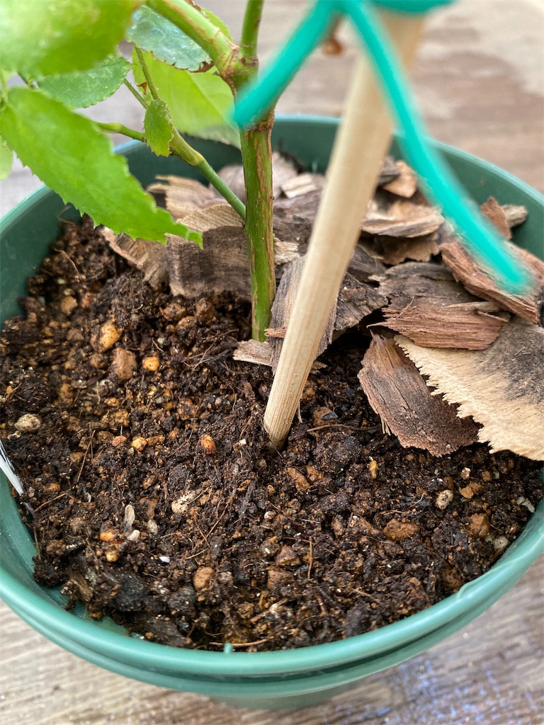 f:id:tef_rose:20191011023621j:image