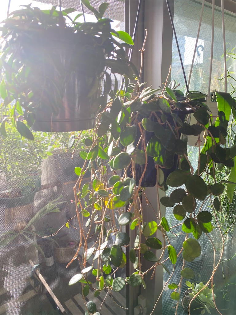 f:id:tef_rose:20191014024745j:image
