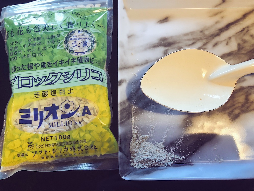 f:id:tef_rose:20191027202213j:image