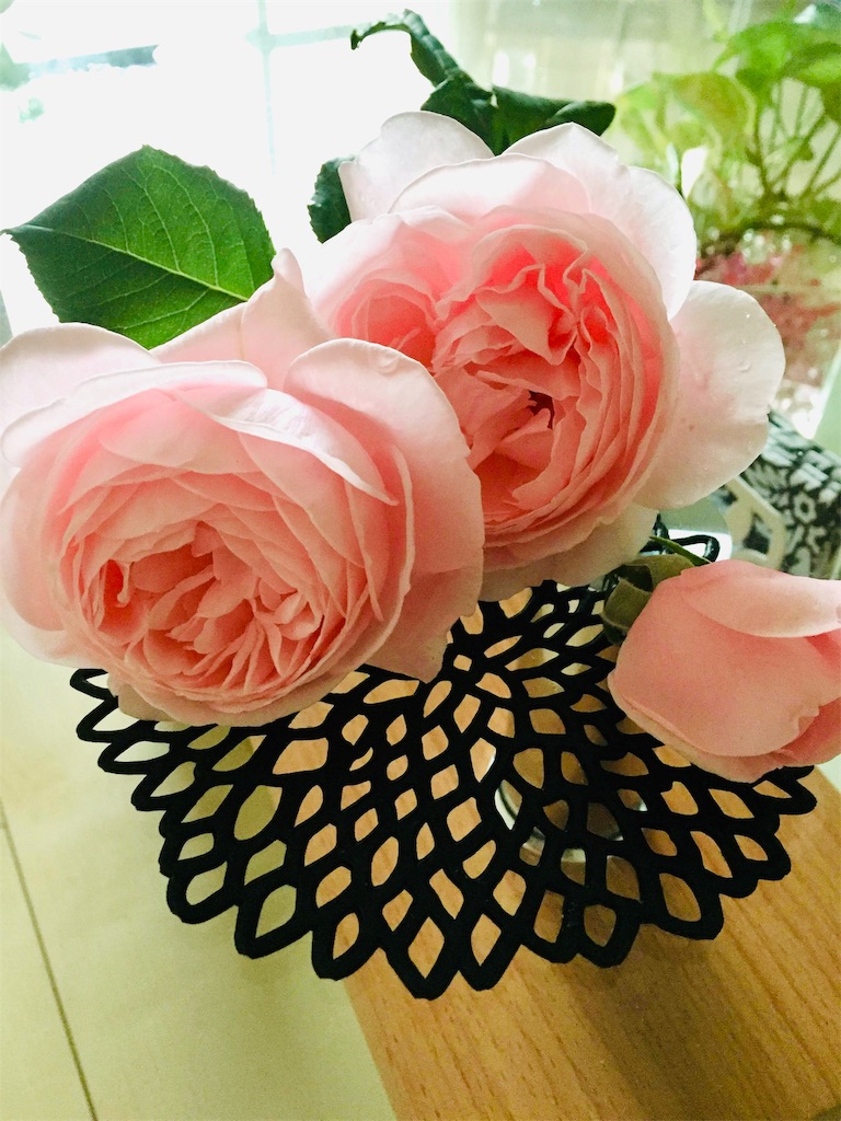 f:id:tef_rose:20191123074634j:image
