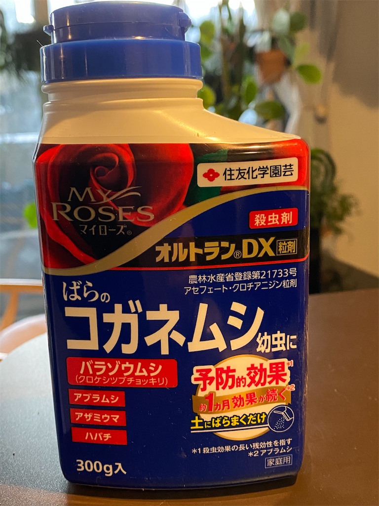 f:id:tef_rose:20200213074000j:image