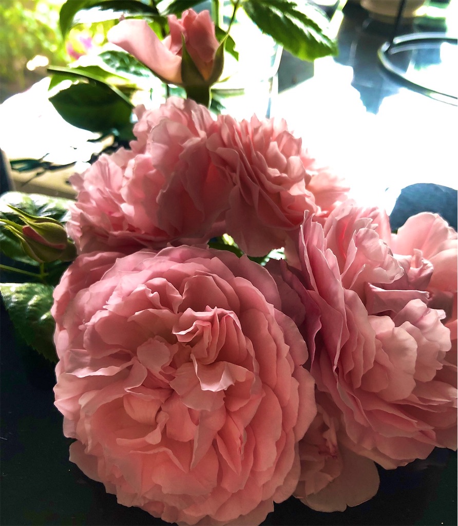 f:id:tef_rose:20200303194113j:image