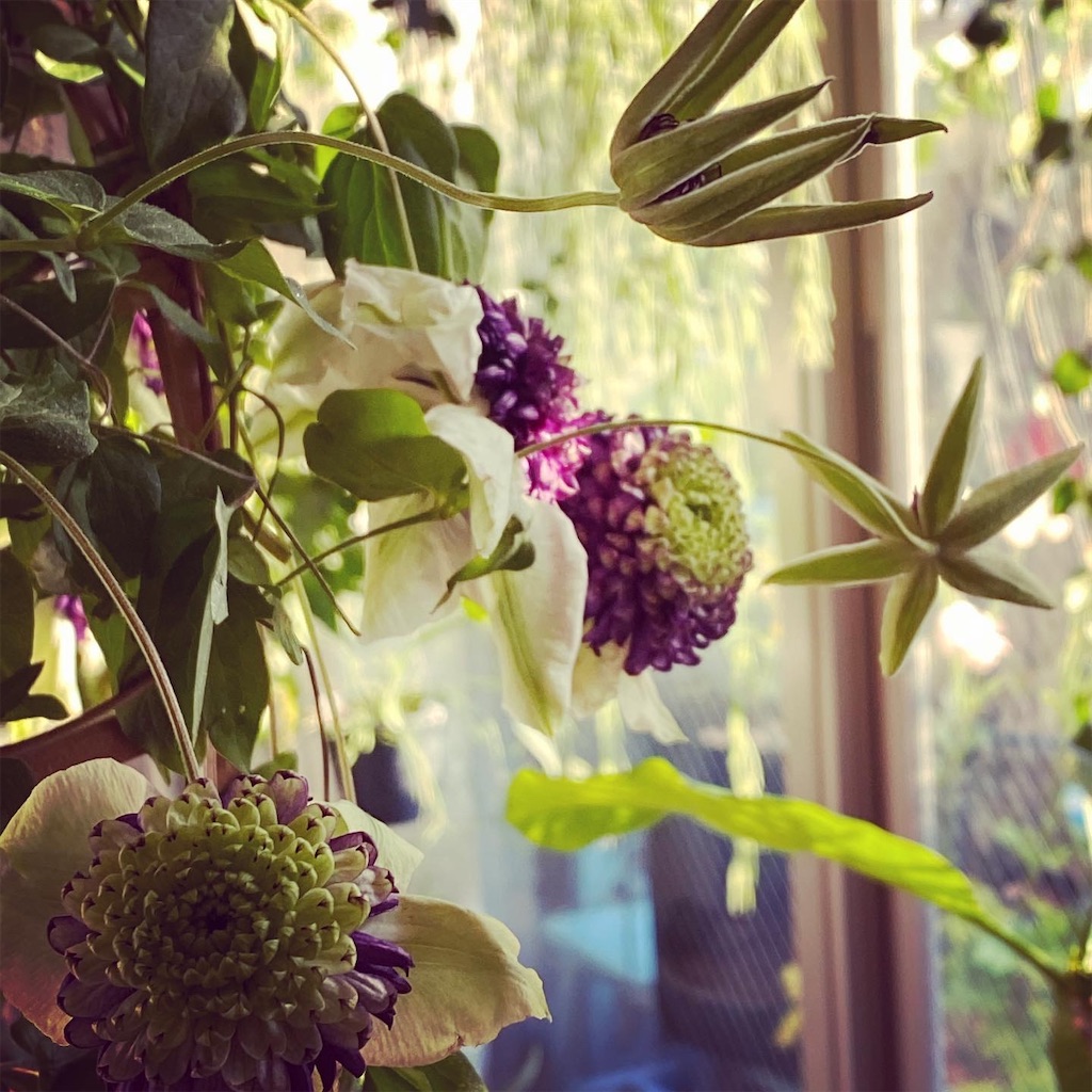 f:id:tef_rose:20200318045122j:image f:id:tef_rose:20200318045122j:image