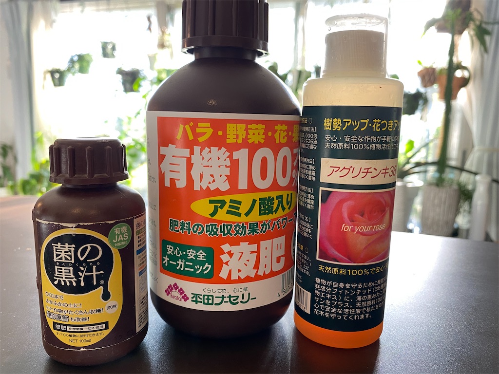 f:id:tef_rose:20200323031047j:image