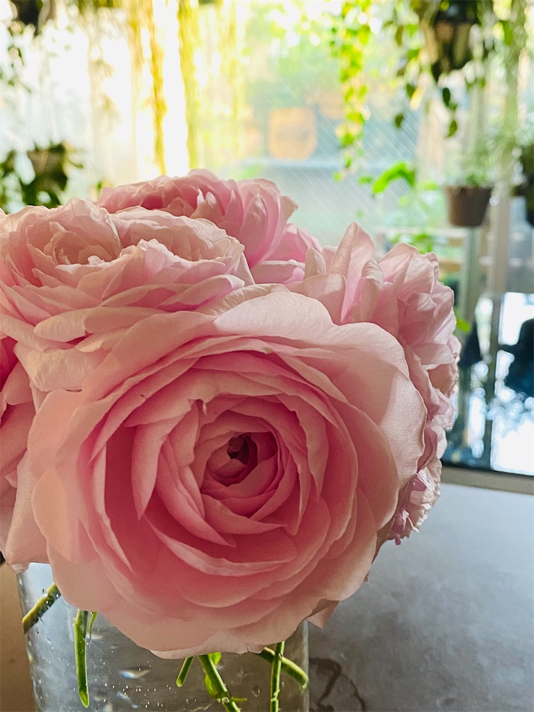 f:id:tef_rose:20200501213409j:image