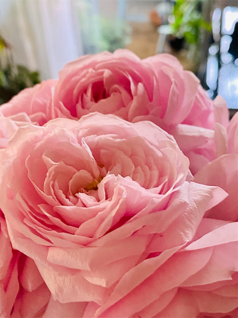 f:id:tef_rose:20200501213423j:image