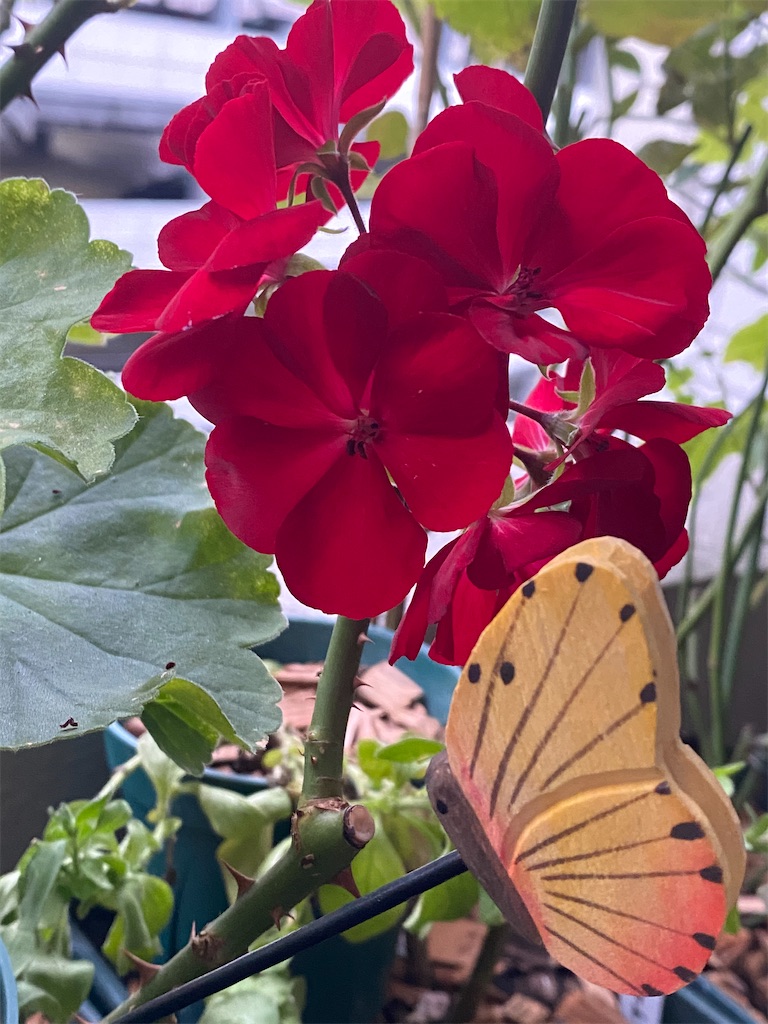 f:id:tef_rose:20200708213405j:plain