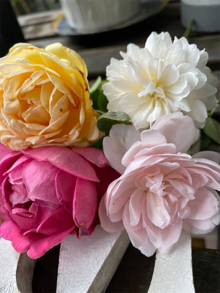 f:id:tef_rose:20200709223033j:plain f:id:tef_rose:20200709223033j:plain