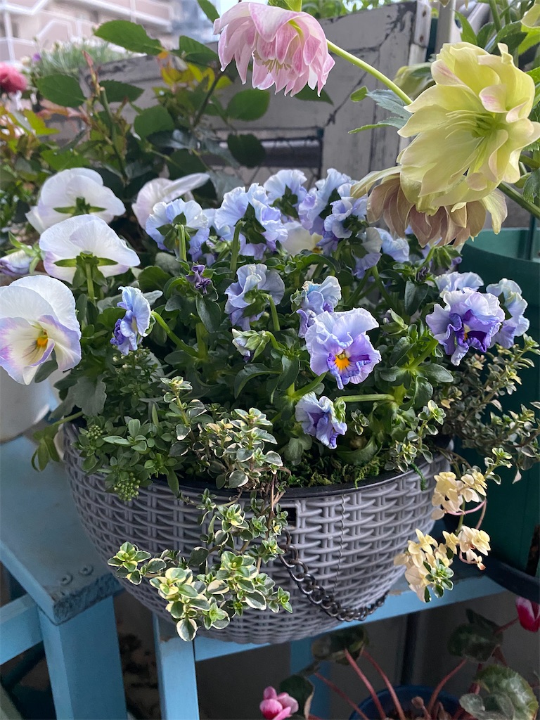 f:id:tef_rose:20220408151405j:plain