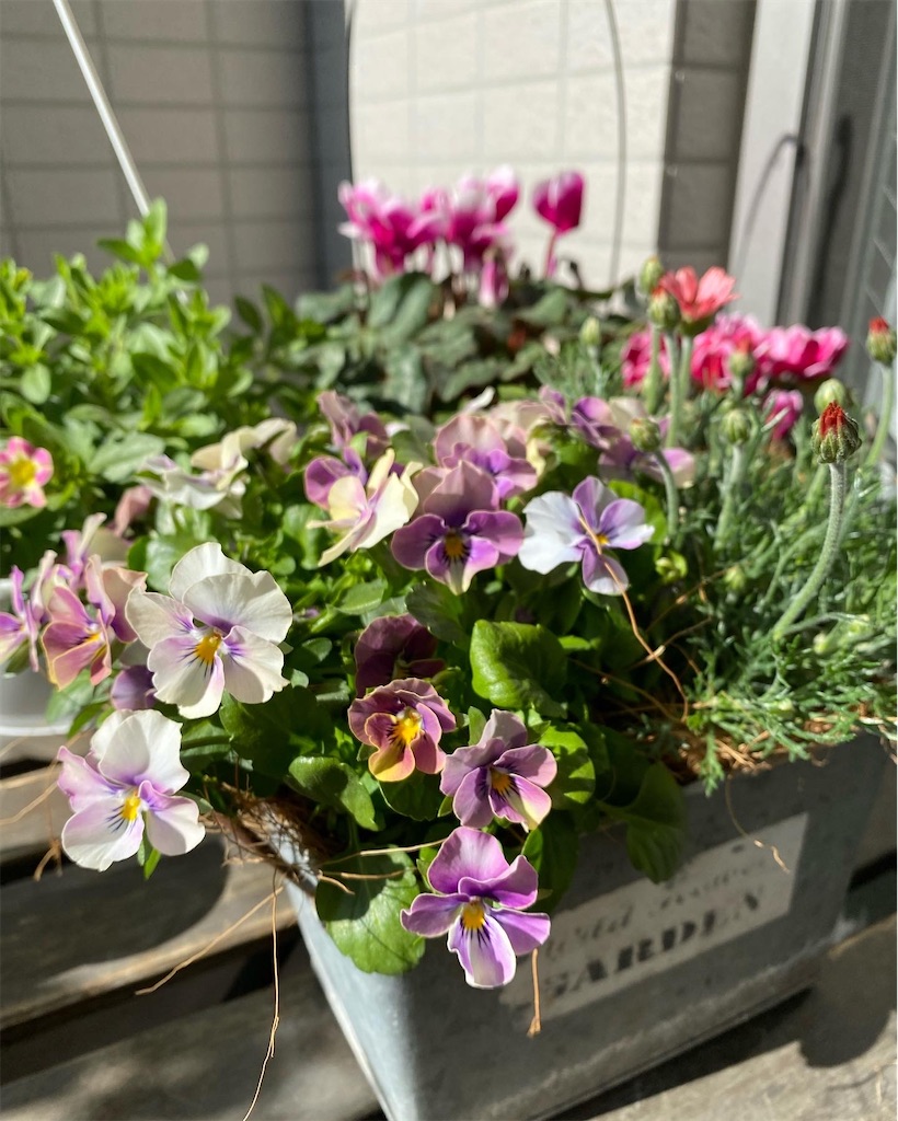 f:id:tef_rose:20220408151415j:plain