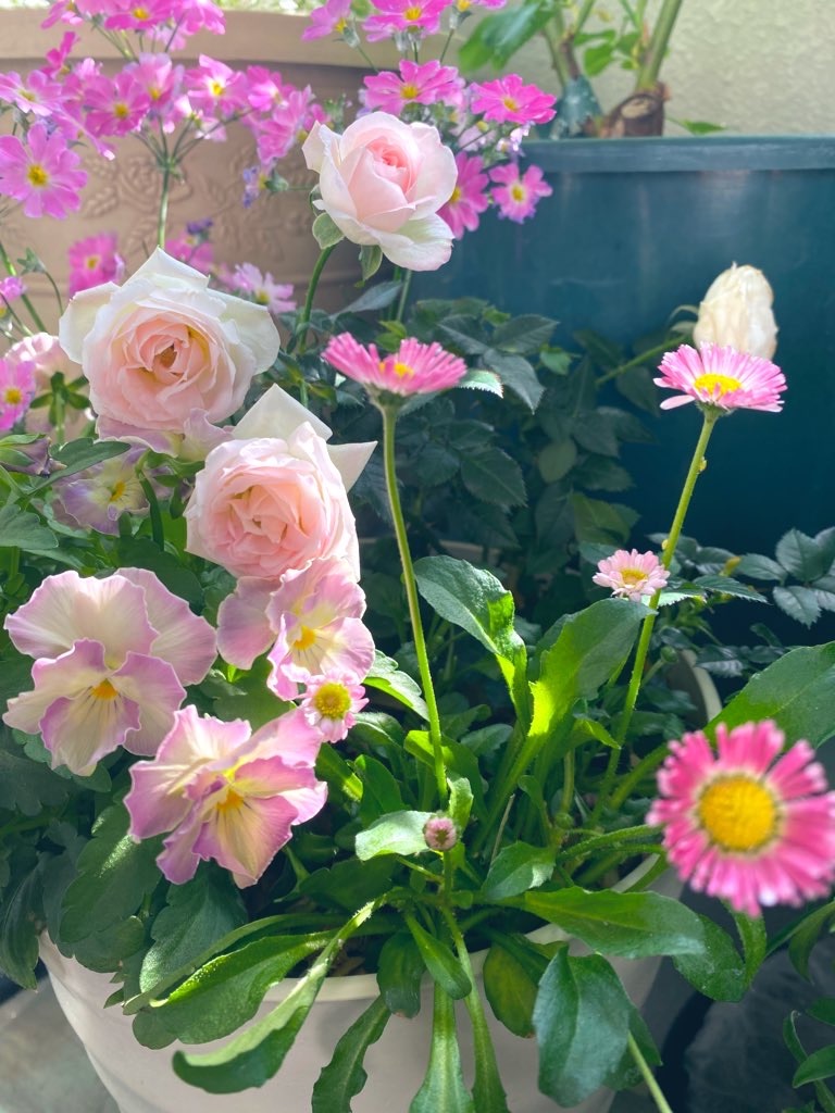 f:id:tef_rose:20220411010140j:plain