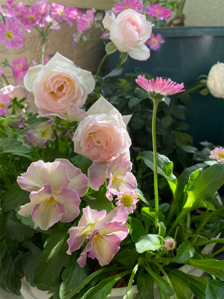 f:id:tef_rose:20220411010148j:plain