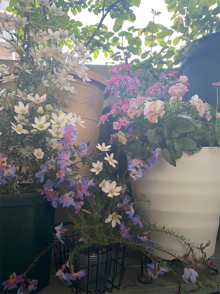 f:id:tef_rose:20220411224135j:plain