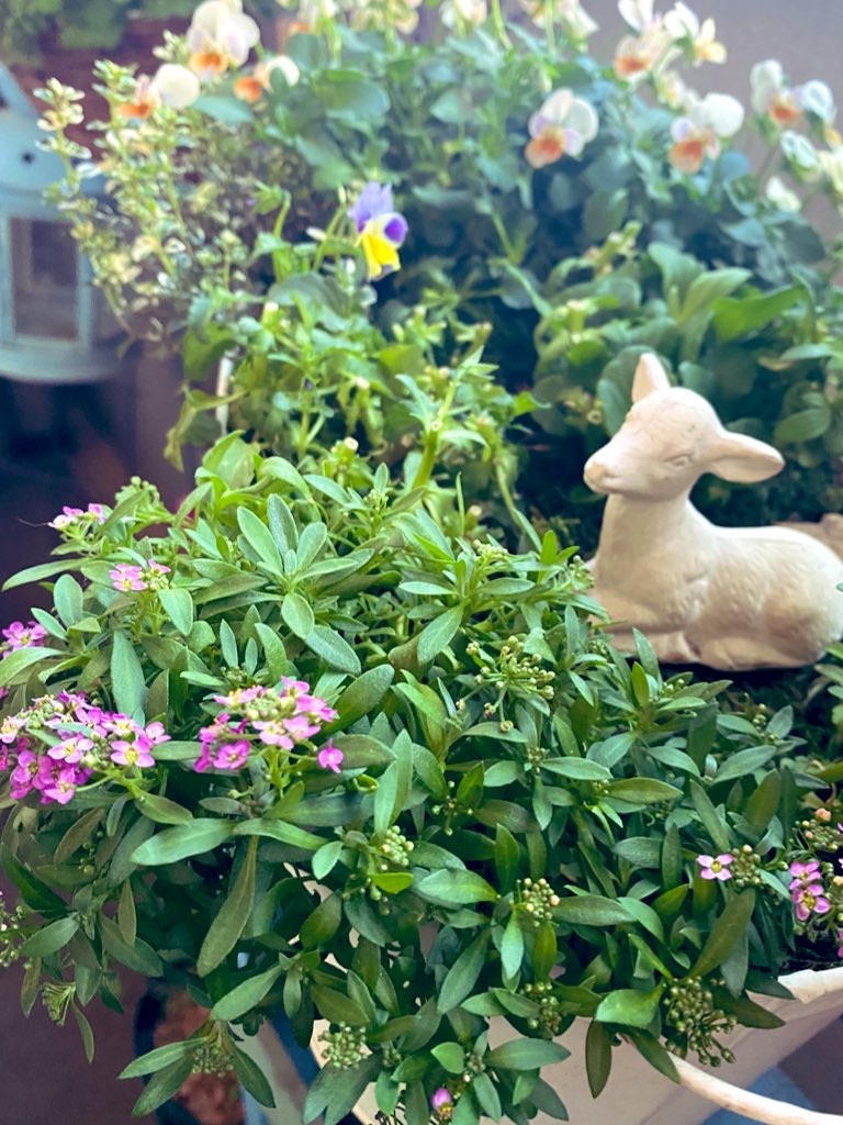 f:id:tef_rose:20220411224143j:plain