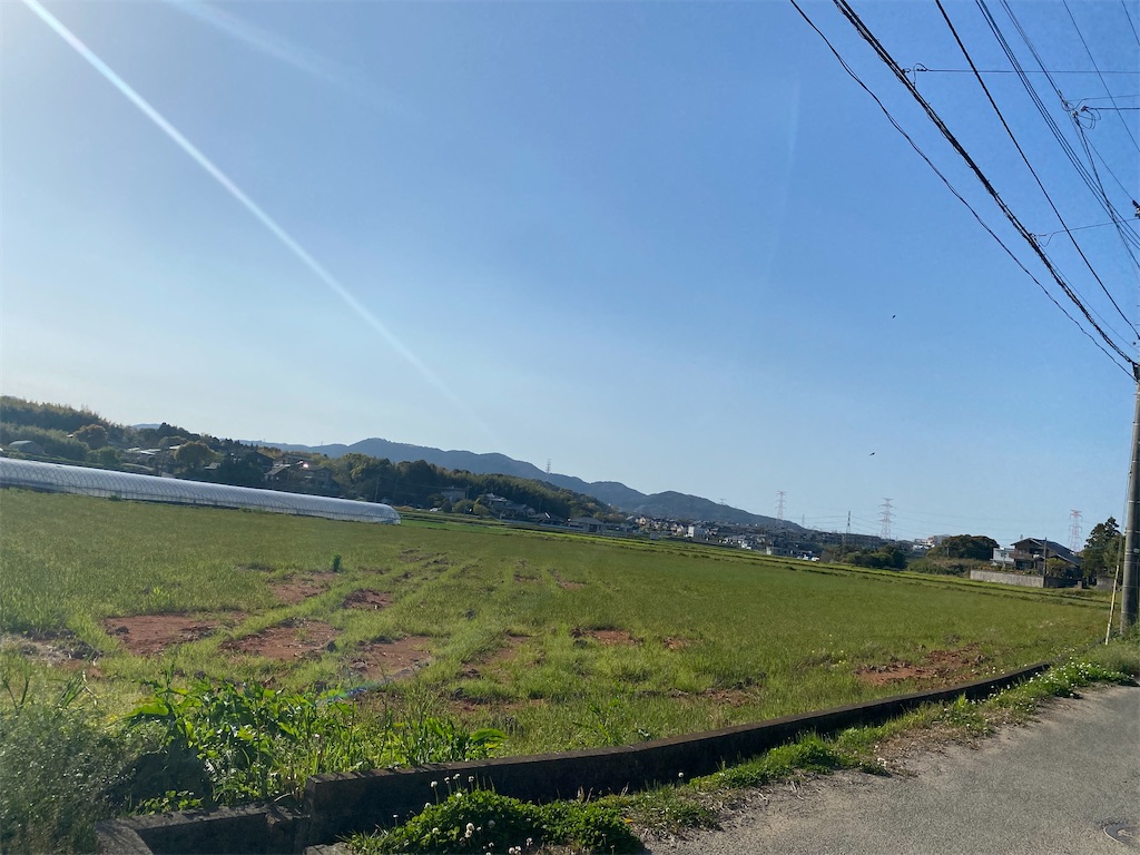 f:id:tef_rose:20220411224148j:plain