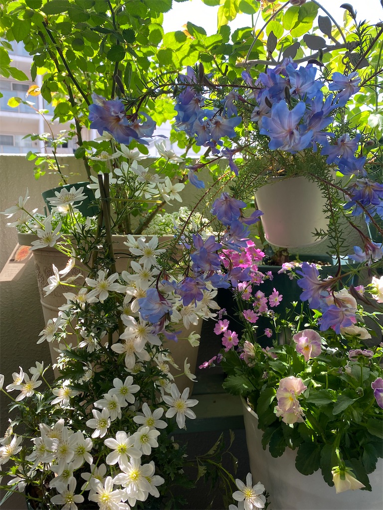 f:id:tef_rose:20220412133135j:plain