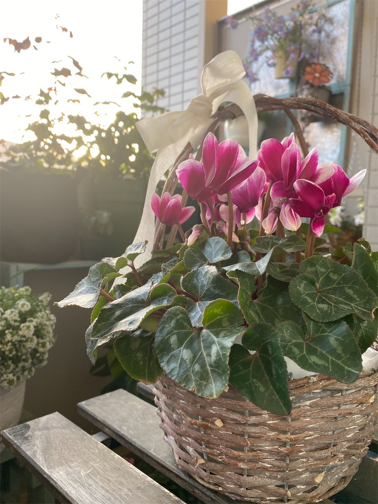 f:id:tef_rose:20220413204319j:plain