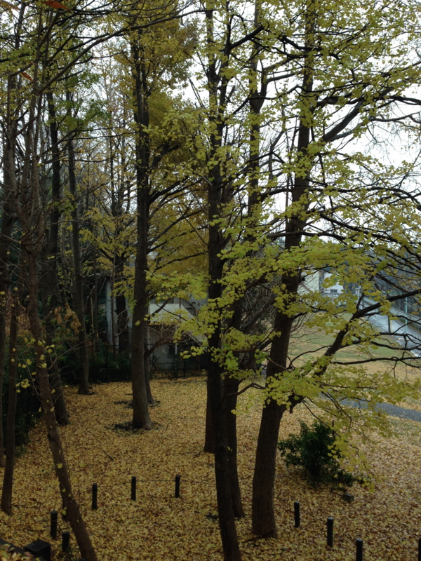 f:id:tefutefu38:20131219123851j:image:w360
