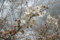 20100320052558
