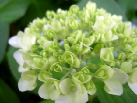20110611181551