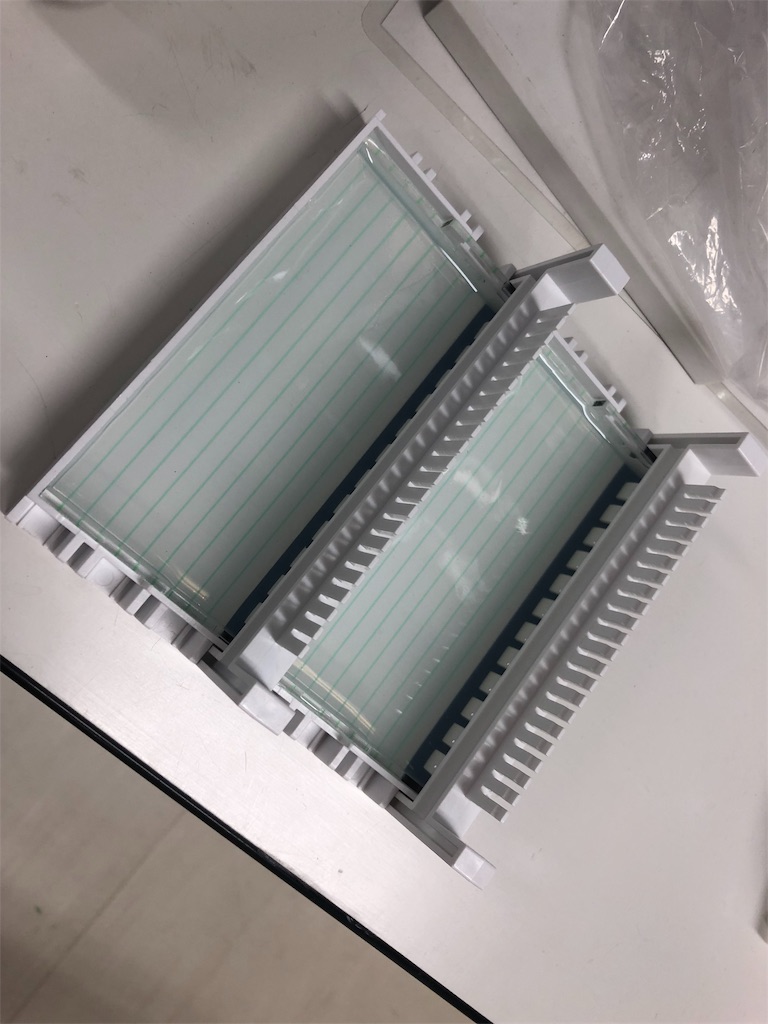 f:id:teicoplanin:20191129164921j:image