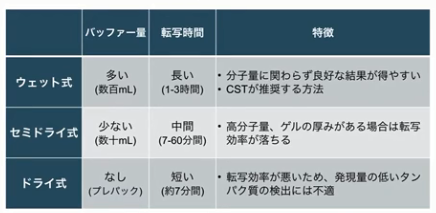 f:id:teicoplanin:20200501171324p:plain f:id:teicoplanin:20200501171324p:plain