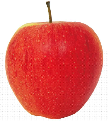 f:id:teicoplanin:20210316165505j:plain