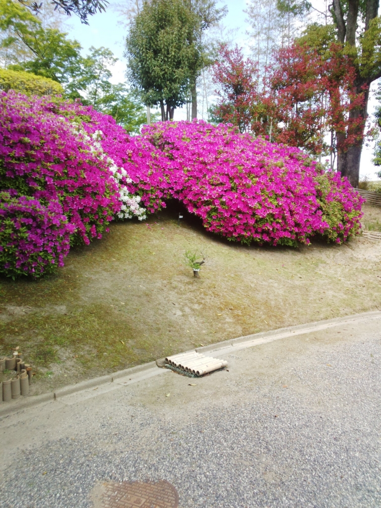 f:id:teihendebusu:20170518184515j:plain