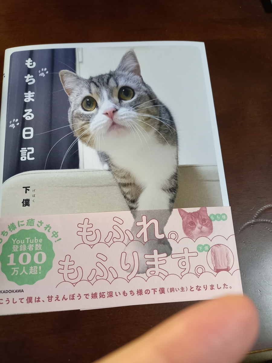 f:id:teihendebusu:20211002093325j:plain