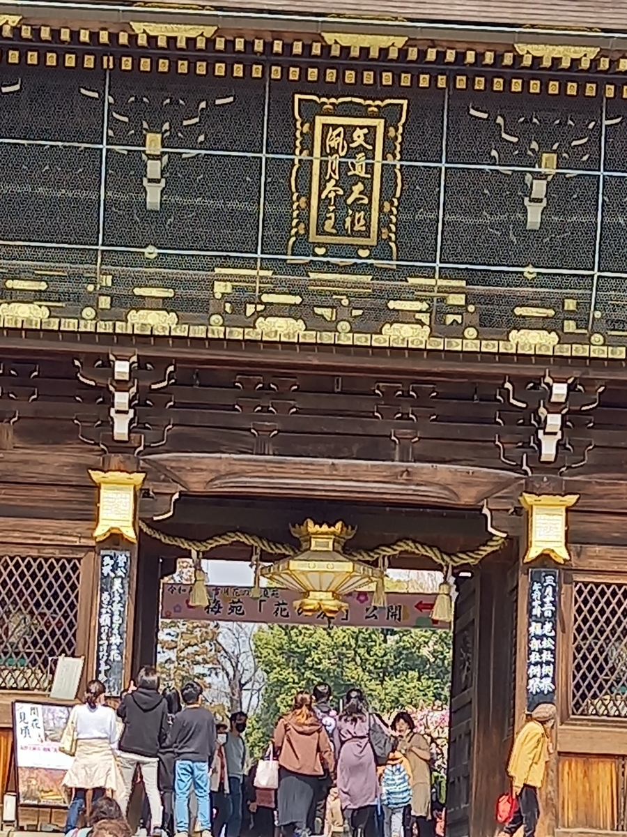 f:id:teihendebusu:20220312142652j:plain