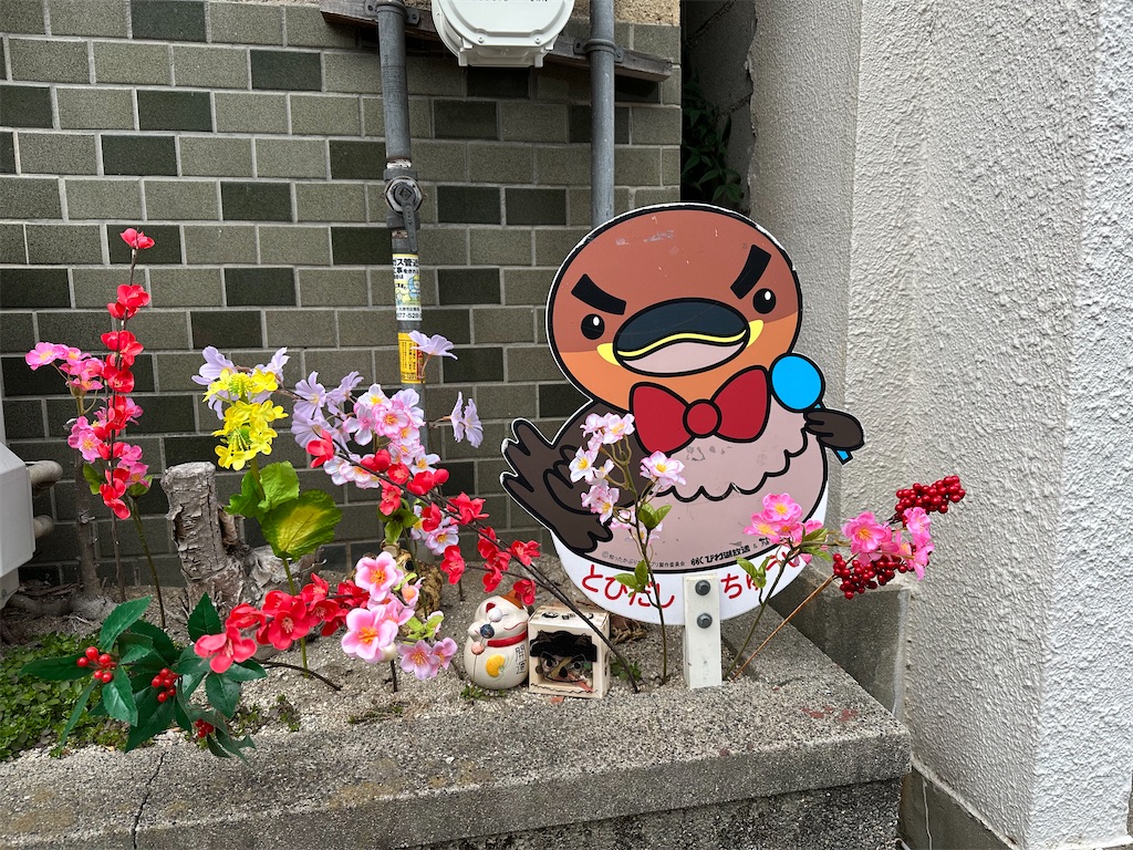 f:id:teiji1217:20250228132602j:image