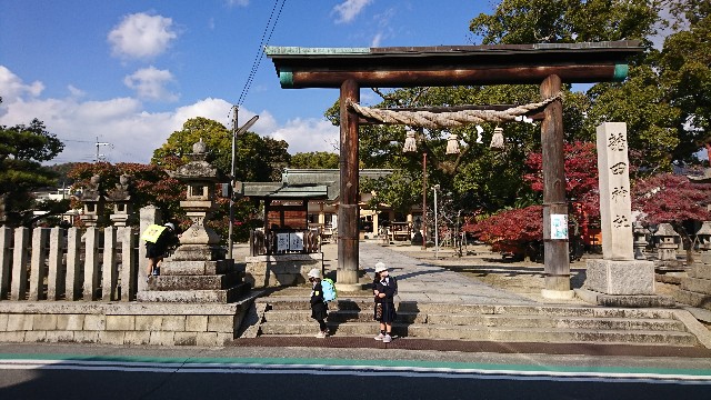 f:id:teikakyou:20211127031222j:image f:id:teikakyou:20211127031222j:image