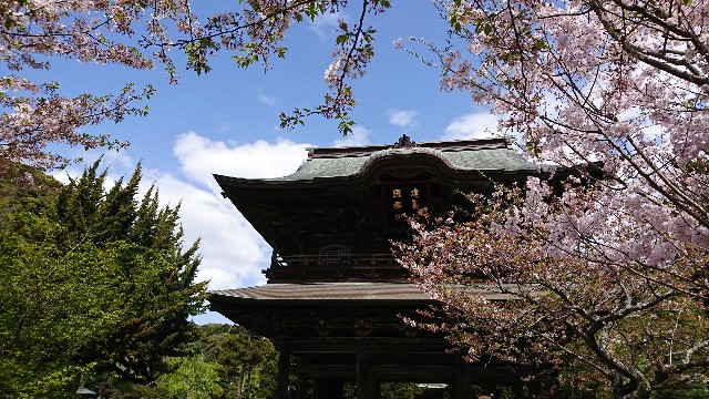 f:id:teikakyou:20211207142834j:image f:id:teikakyou:20211207142834j:image