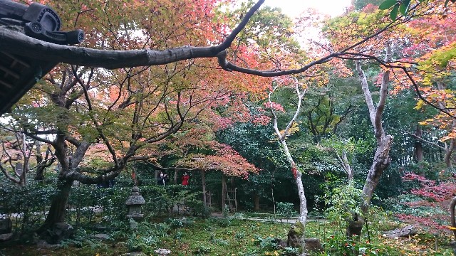 f:id:teikakyou:20211212134812j:image f:id:teikakyou:20211212134812j:image