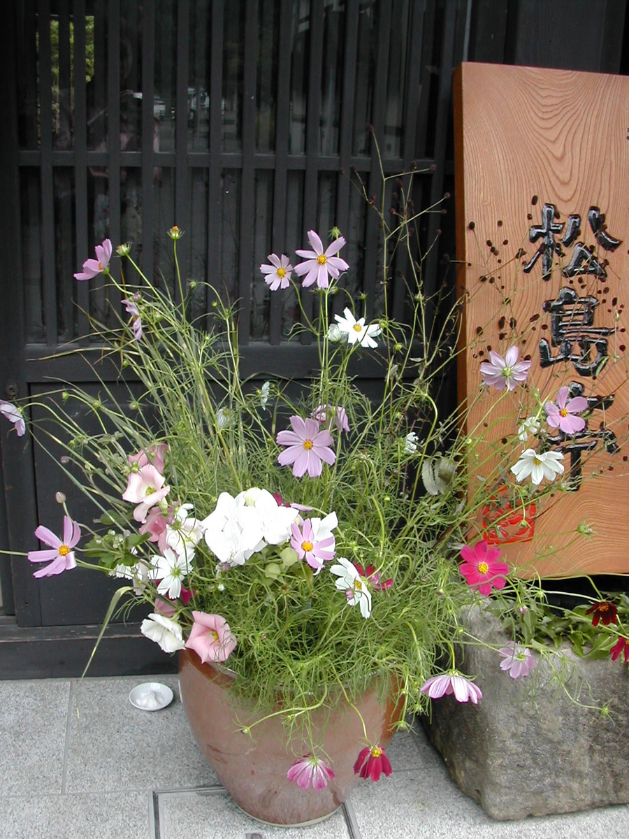 f:id:teinei-life:20190919085712j:plain f:id:teinei-life:20190919085712j:plain